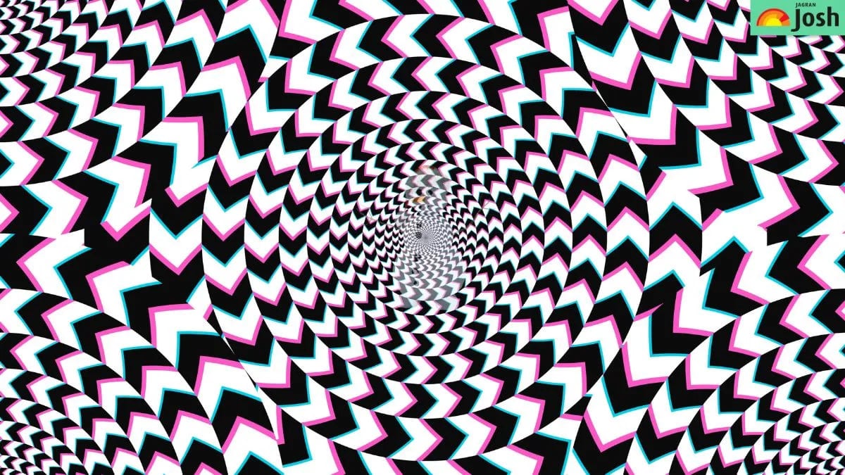 Ein Rätsel für scharfe Augen: Sie müssen das versteckte Bild in 5 Sekunden finden