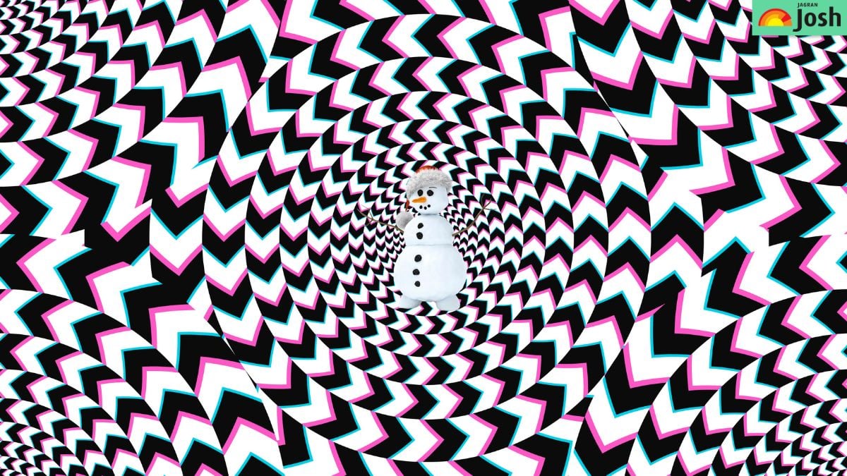 Ein Rätsel für scharfe Augen: Sie müssen das versteckte Bild in 5 Sekunden finden