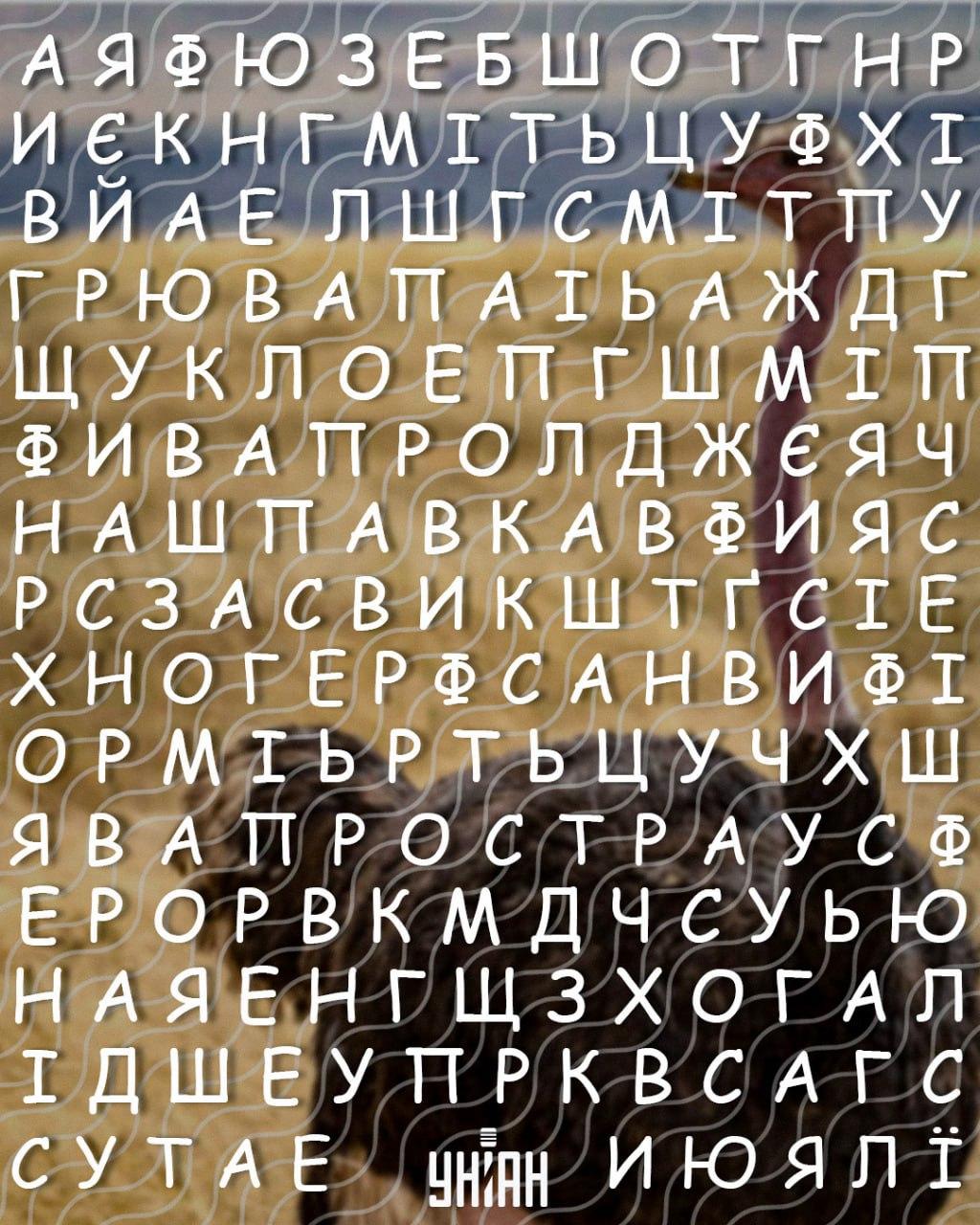 Nur Menschen mit hohem IQ können das Wort 