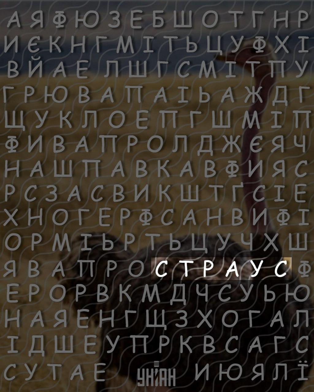 Nur Menschen mit einem hohen IQ können das Wort 