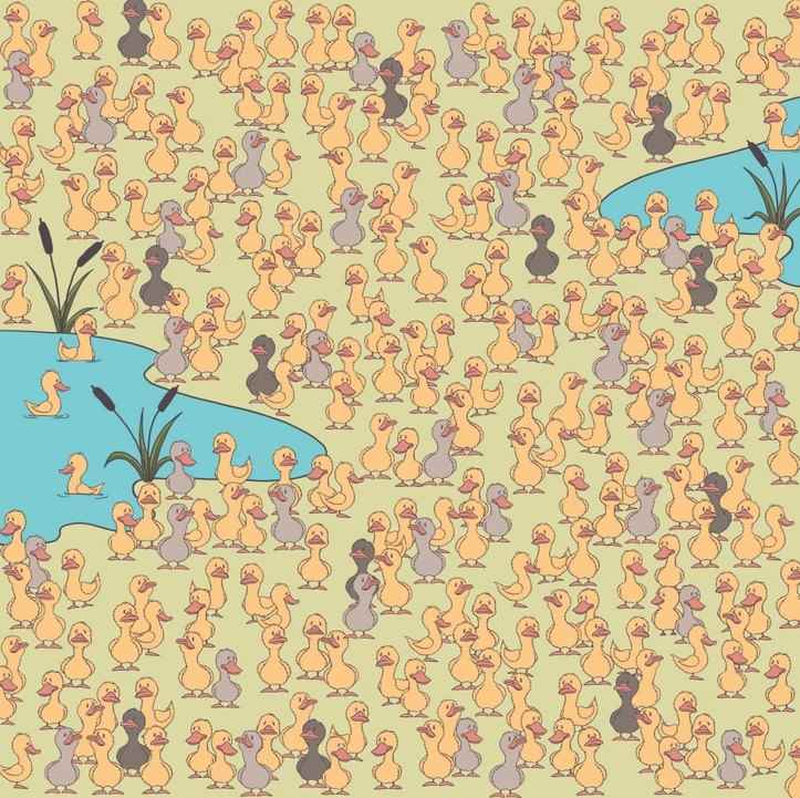 Das Geheimnis und die Hauptsache