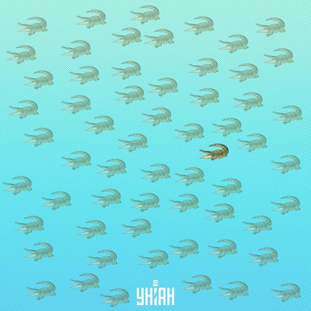 Es hätte näher an der Mitte gefunden werden müssen, auf der rechten Seite / Moje Collage