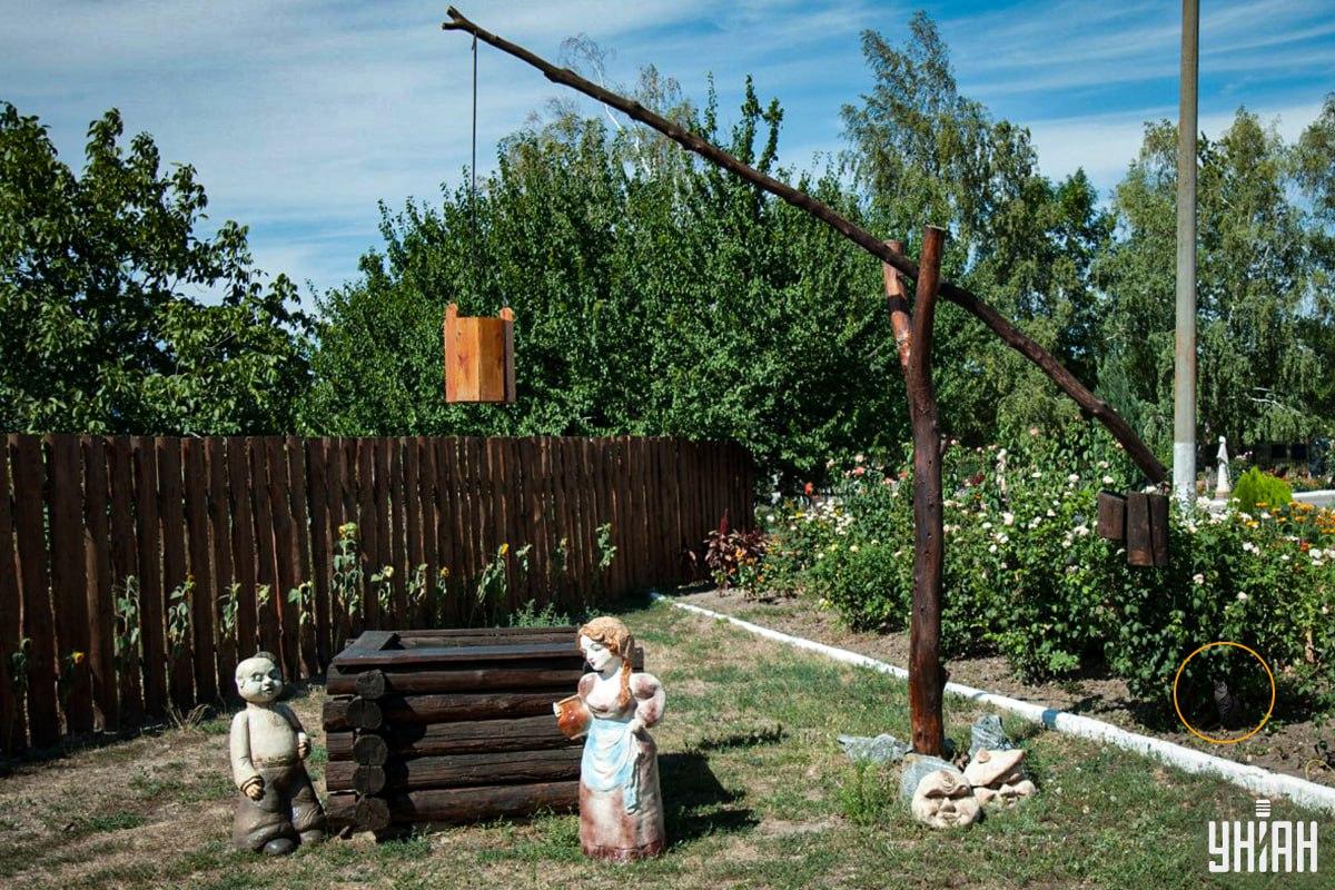 Die Katze war im Blumenbeet / Moje collage