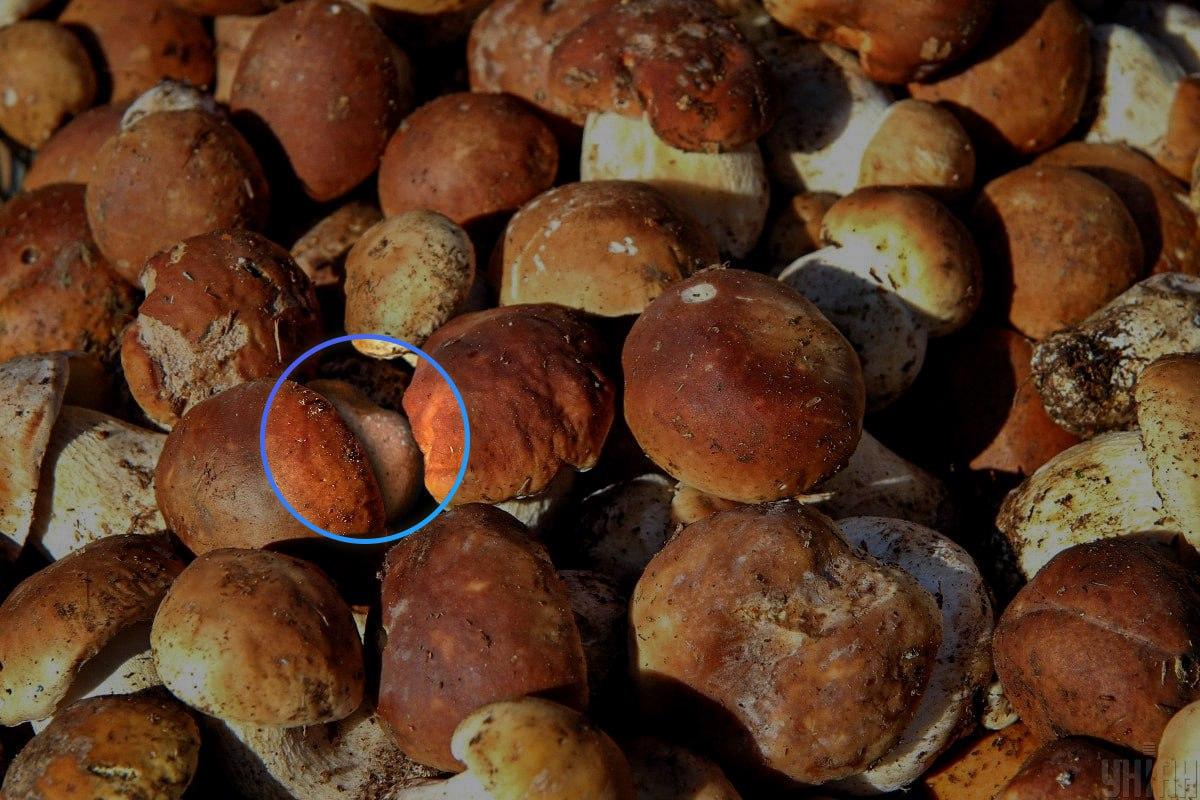 Der Stein befand sich fast in der Mitte der optischen Täuschung / Moje-Collage