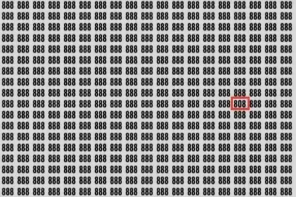 Die Lösung des Rätsels / Foto von Jagran Josh