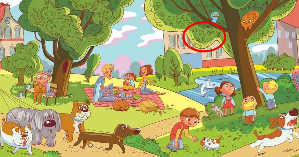 Dies ist eine Aufgabe, die nur wenige Menschen lösen können: Sie müssen den Löwen im Park in 6 Sekunden finden