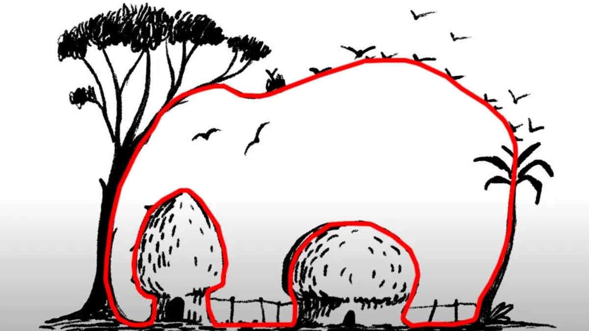 Lösung der optischen Täuschung