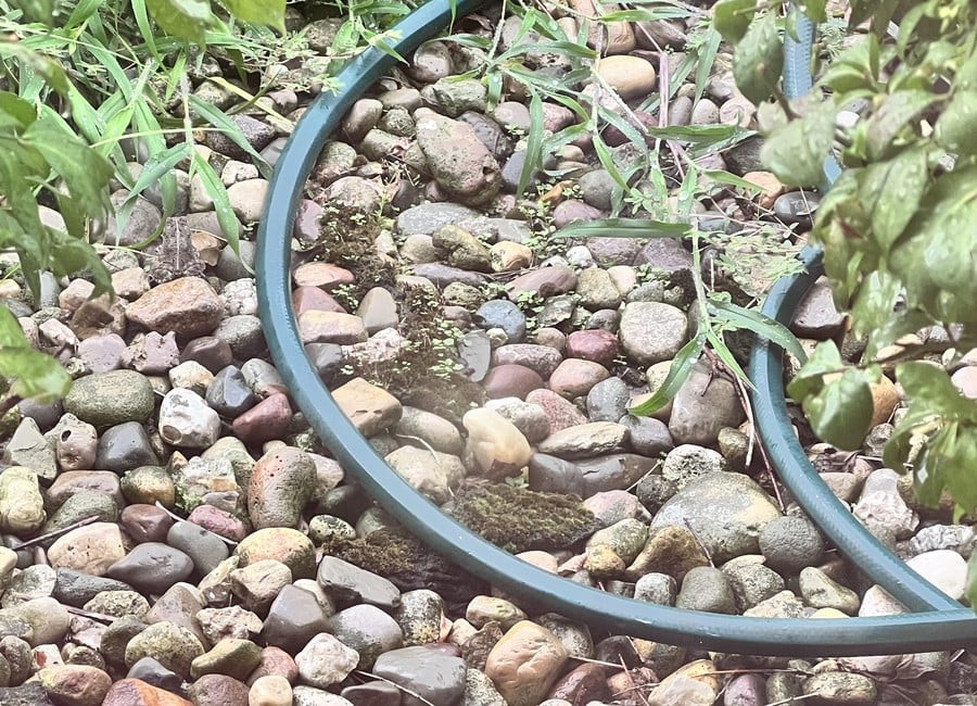 Optische Täuschung: Finde den versteckten Frosch