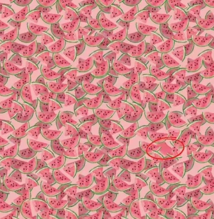 Finde eine besondere Wassermelone in 10 Sekunden