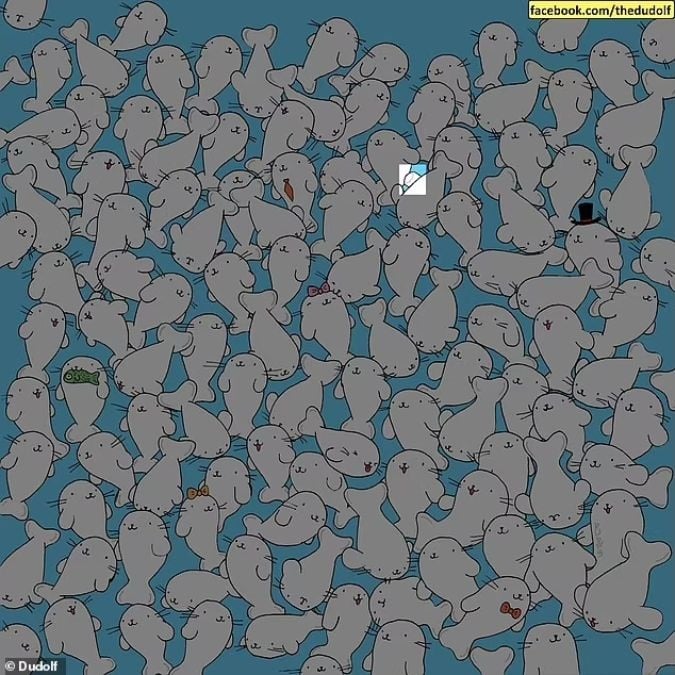 Ein Rätsel für Menschen mit scharfen Augen: Finde den Marshmallow unter den Robben in 11 Sekunden