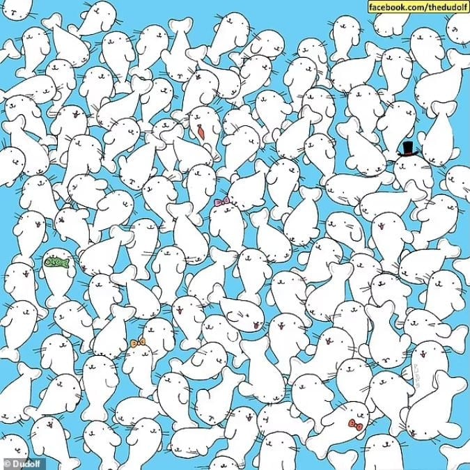 Ein Rätsel für Menschen mit scharfen Augen: Finde den Marshmallow zwischen den Robben in 11 Sekunden