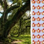 Nur 2% der Genies finden das Wort „Baum“ in 10