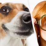 Nur ein wahrer IQ-Titan kann einen Hund im Schnee in